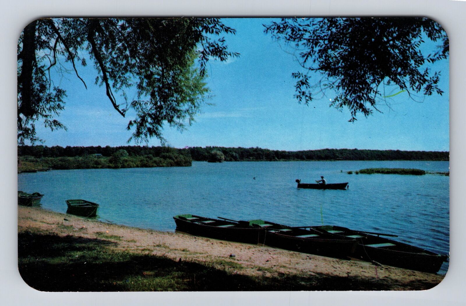 Coldwater MI-Michigan, Randall Lake, Antique Vintage Souvenir Postcard