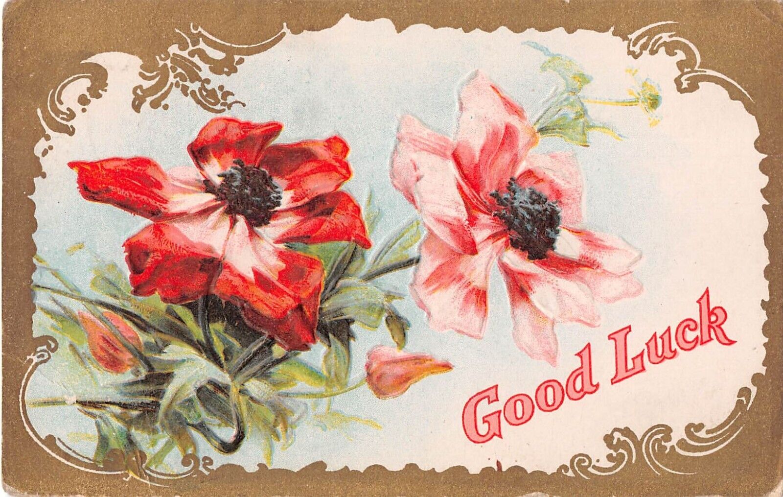 1913 Good Luck Postcard of Pretty Poppies