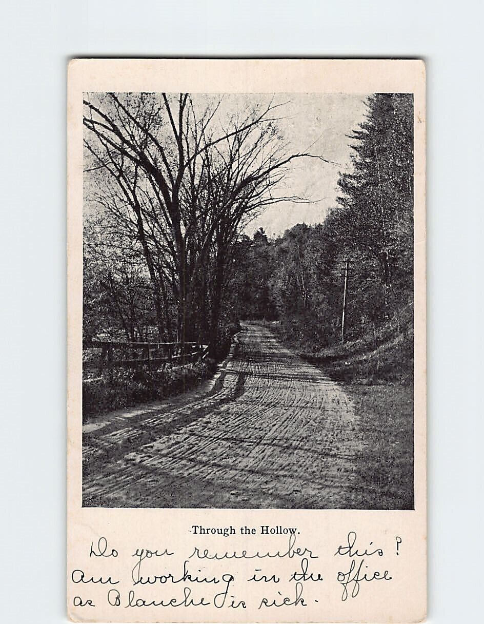 Postcard Through the Hollow