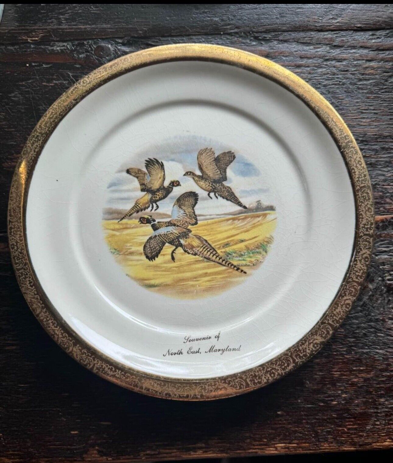 Vintage Sabin 22k USA Pheasants Platter Plate Rare 9\