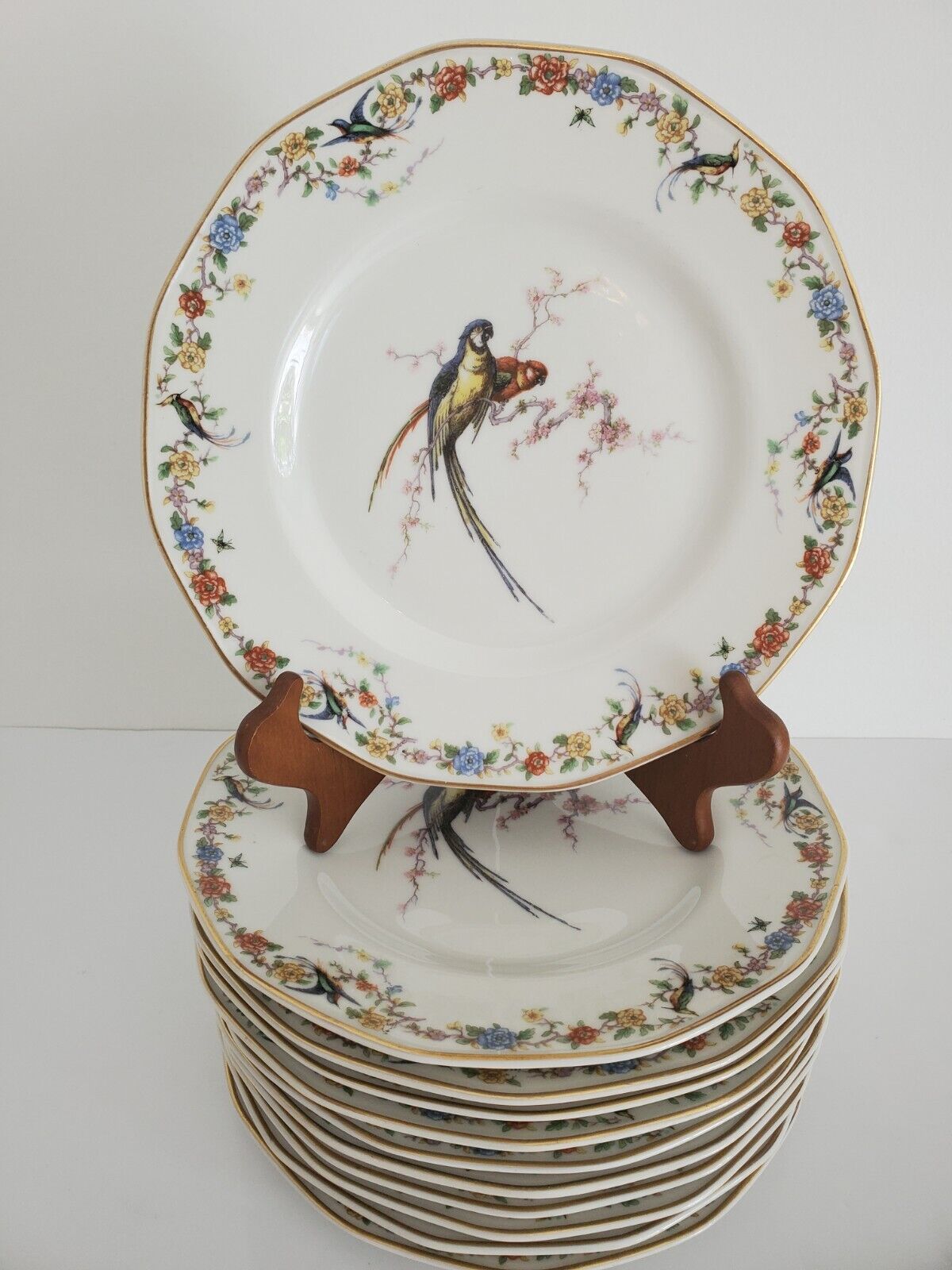 Fine Theodore Haviland Limoges ARCADIA Bird of Paradise Dinner  Plates Set of 11