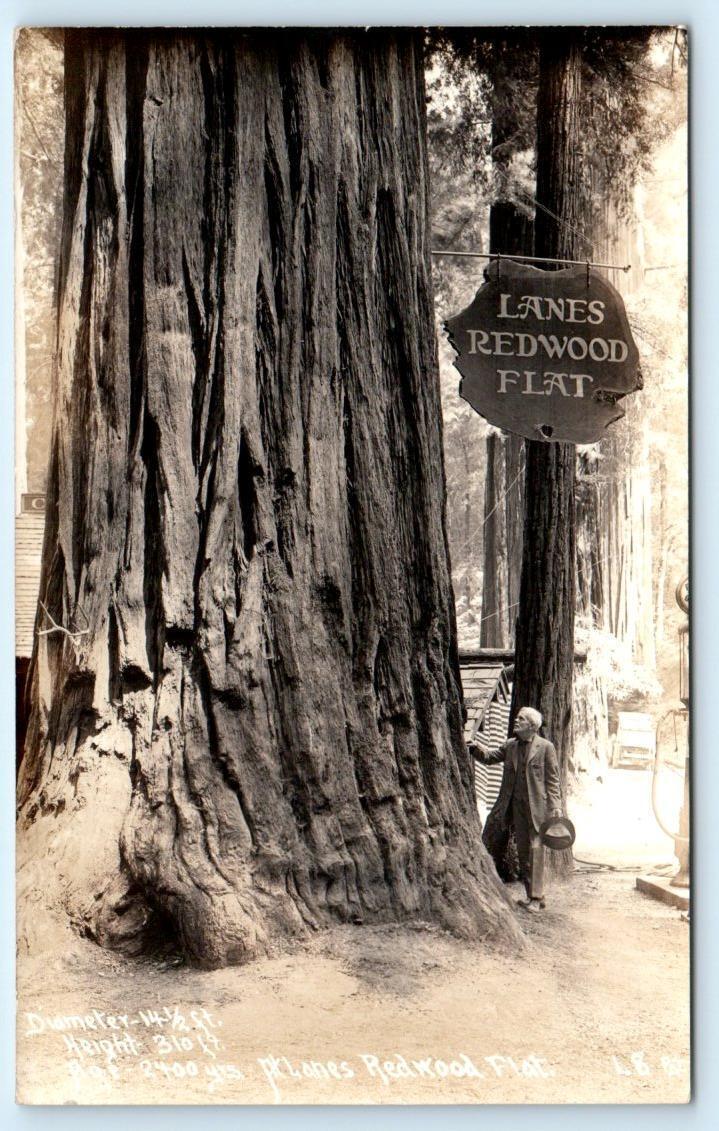 RPPC PIERCY, CA California ~ LANE\'S REDWOOD FLAT c1930s Patterson L 8 Postcard