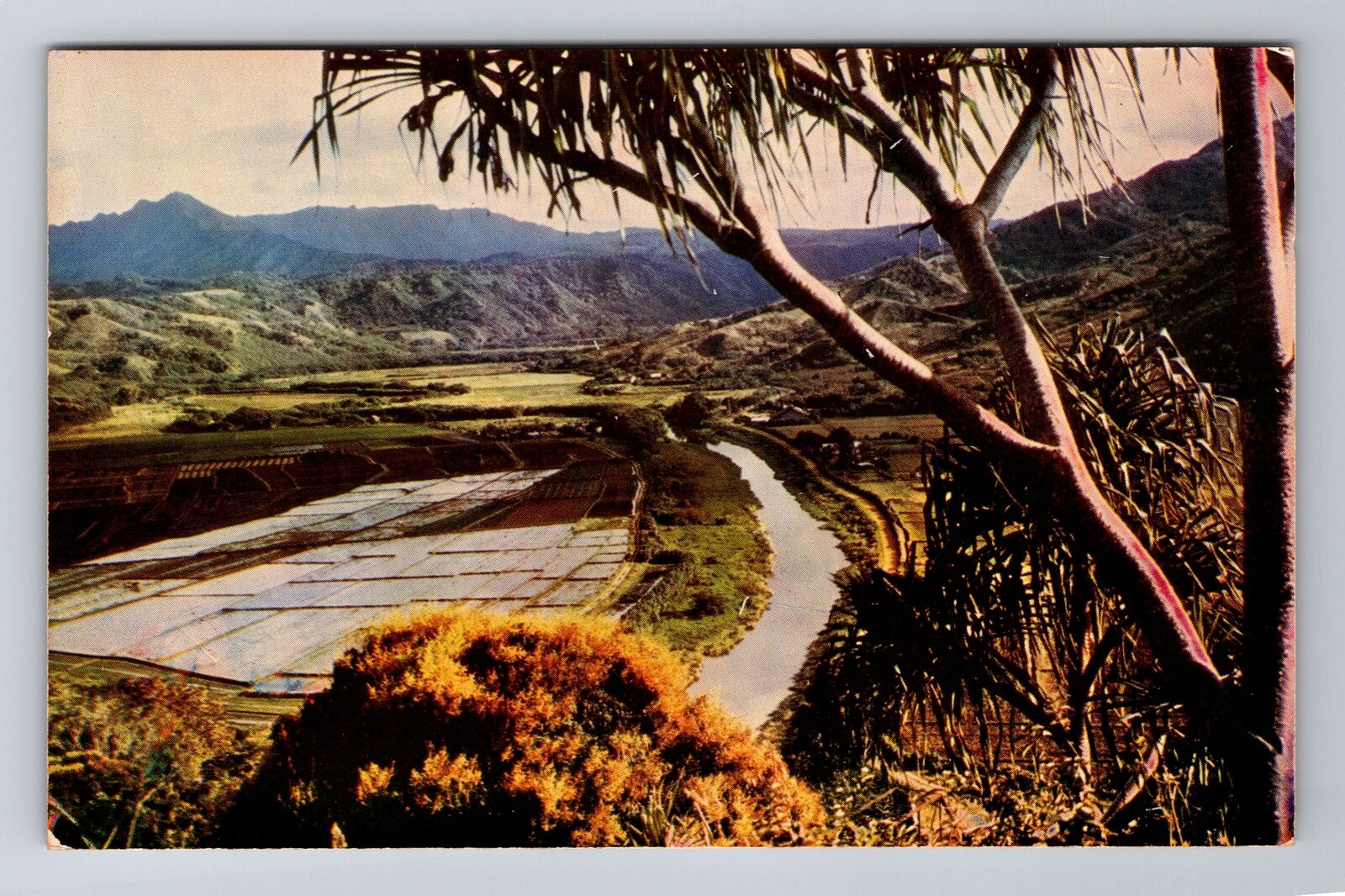 Kauai HI-Hawaii, Hanalei Valley Scenic View, Antique, Vintage Postcard
