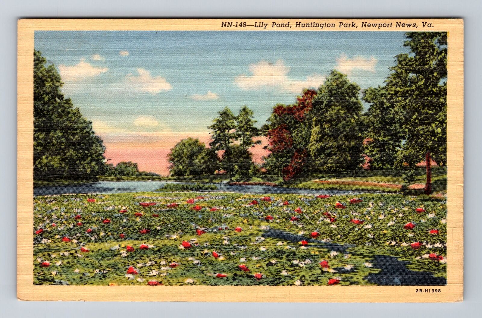 Newport News VA-Virginia, Huntington Park Lily Pond, Antique Vintage Postcard