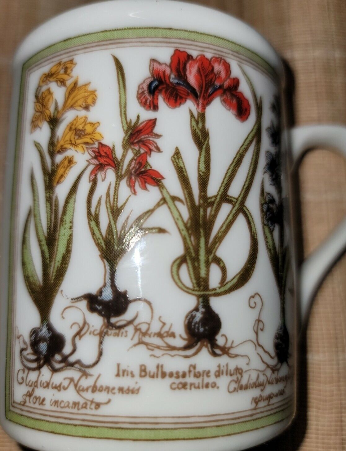Vintage GHC Coffee Cup Mug Flowers Bulbs Iris Gladiolus Perennial Characteristic