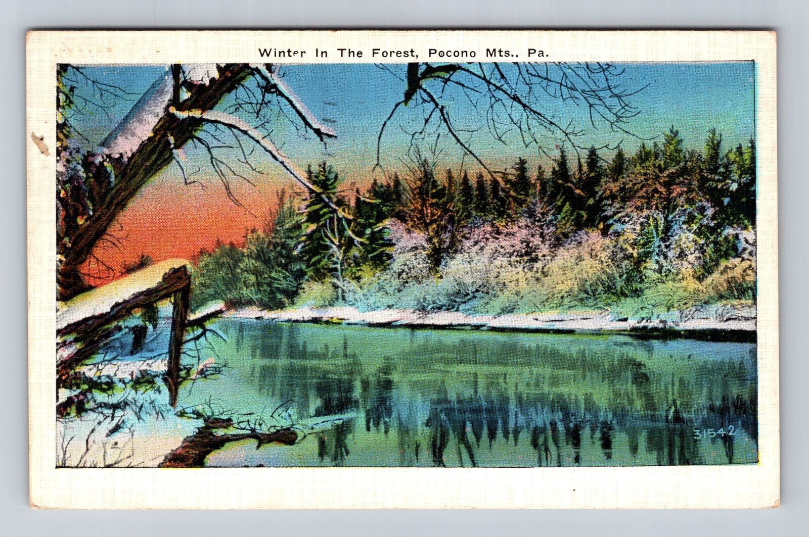 Pocono Mountains PA- Pennsylvania, Winter in The Forest, Vintage Postcard