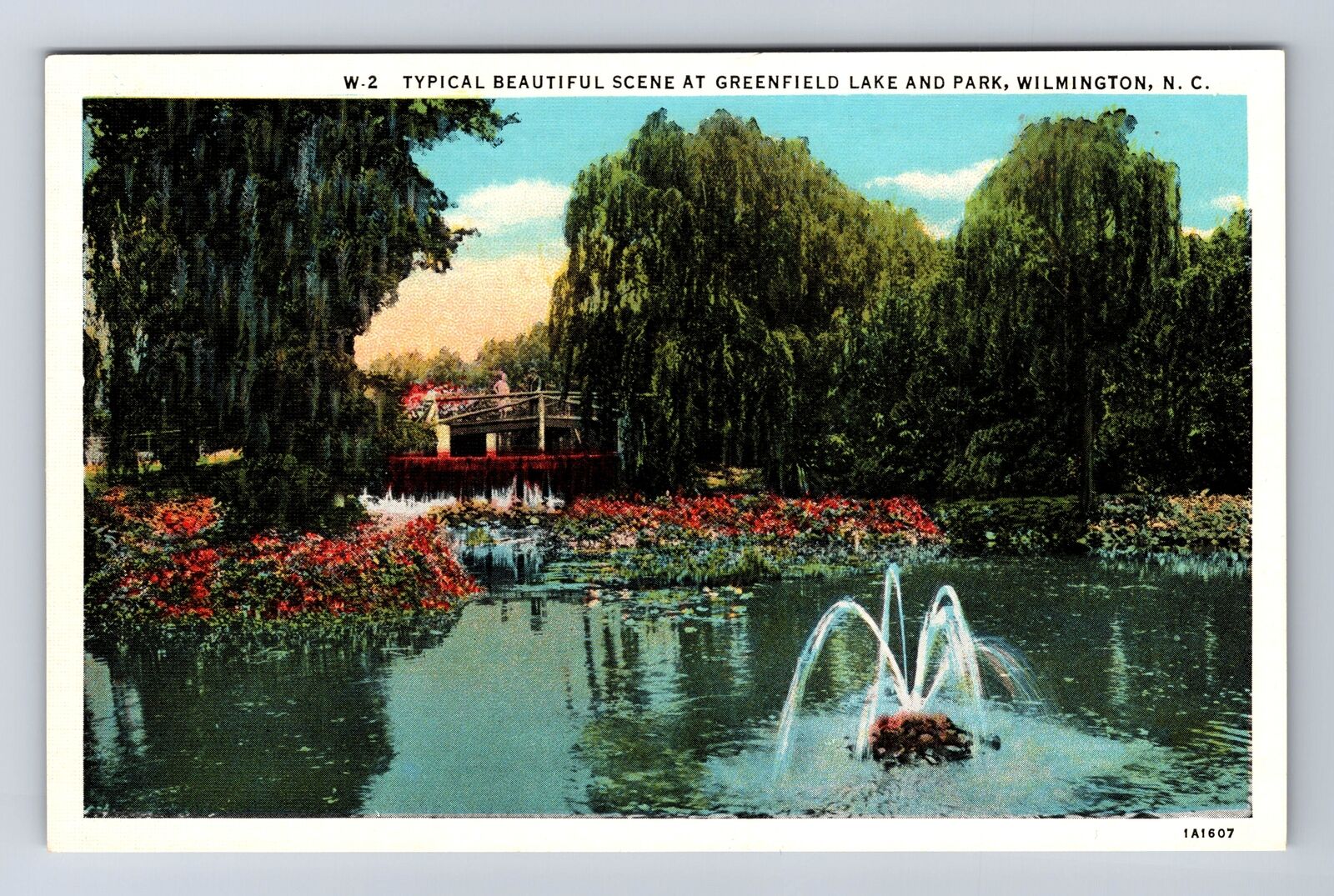 Wilmington NC-North Carolina, Greenfield Lake and Park Souvenir Vintage Postcard