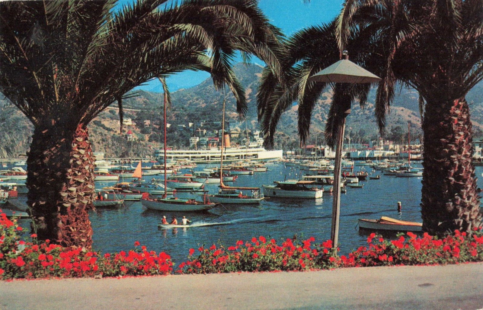 Avalon CA California, Catalina Island, Bay View, Boats, Vintage Postcard
