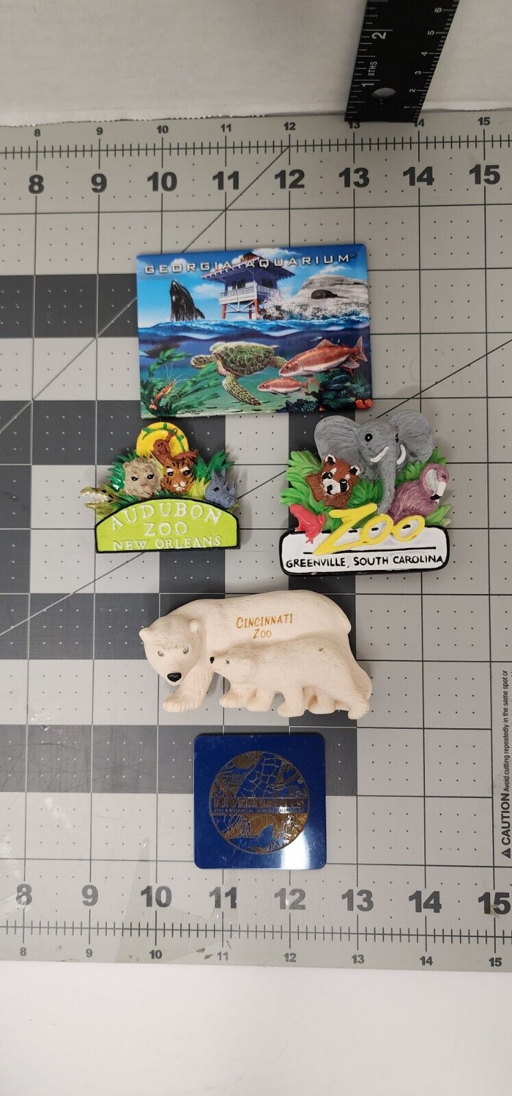 Incredible Quality Zoo Magnets Lot