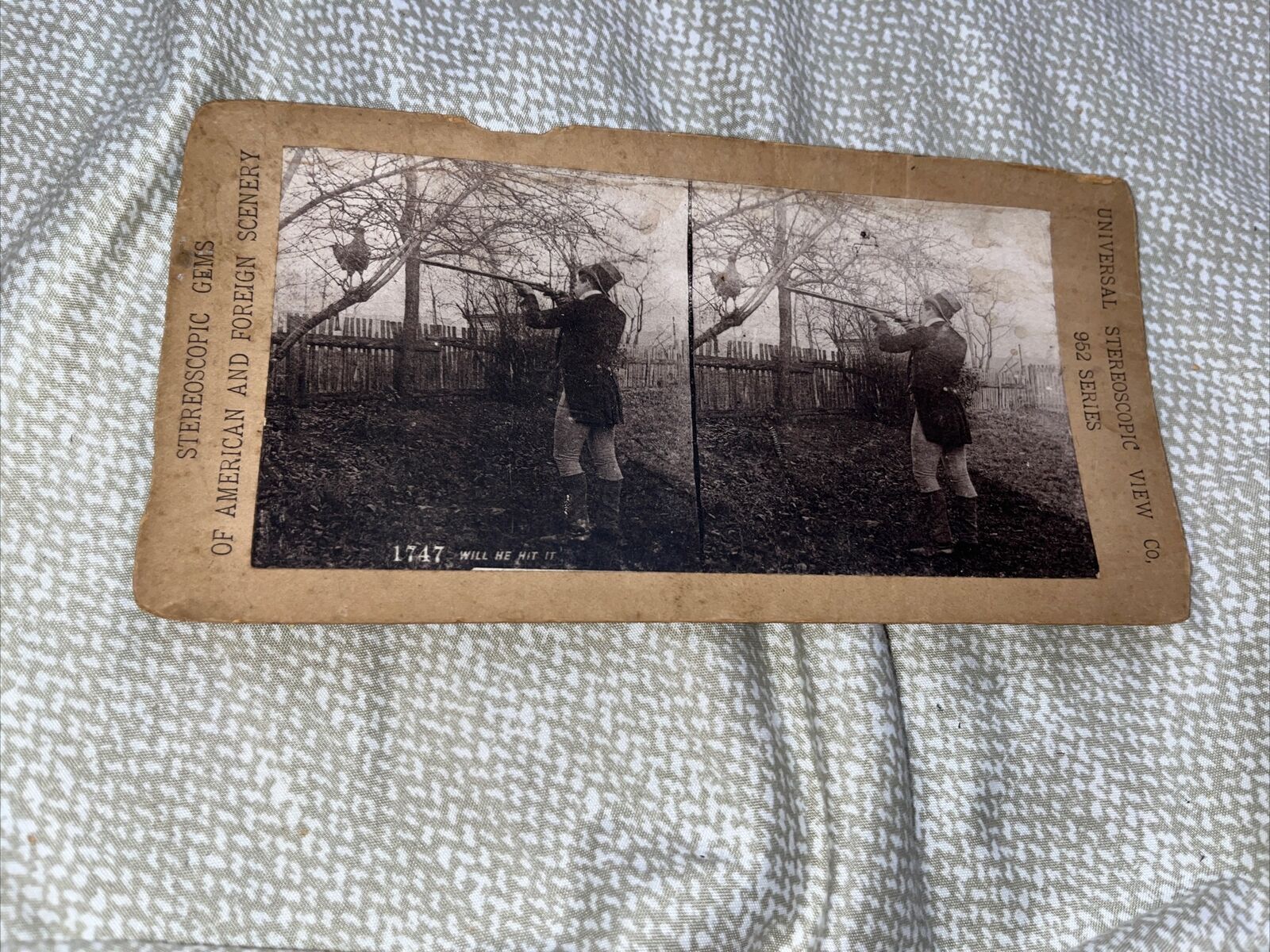 Antique Stereoview Card: Will he hit it? Man Shooting Chicken - 962 Series 1747