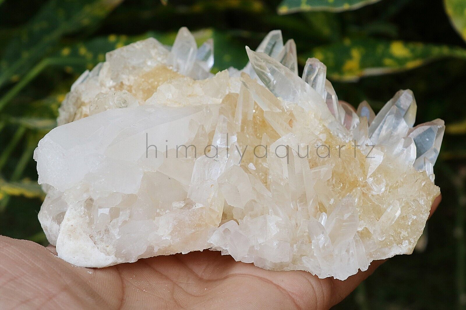 High Grade Himalayan Yellow Quartz Rough Healing Crystal 620 gm Minerals Quartz