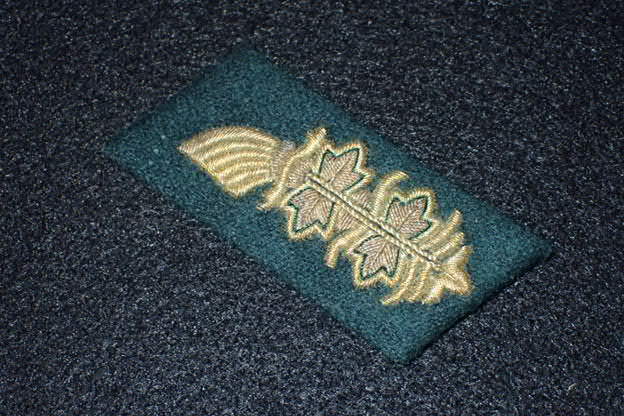Early Cold War East German Supply General\'s Bullion Collar Tab 3D 1st Variation