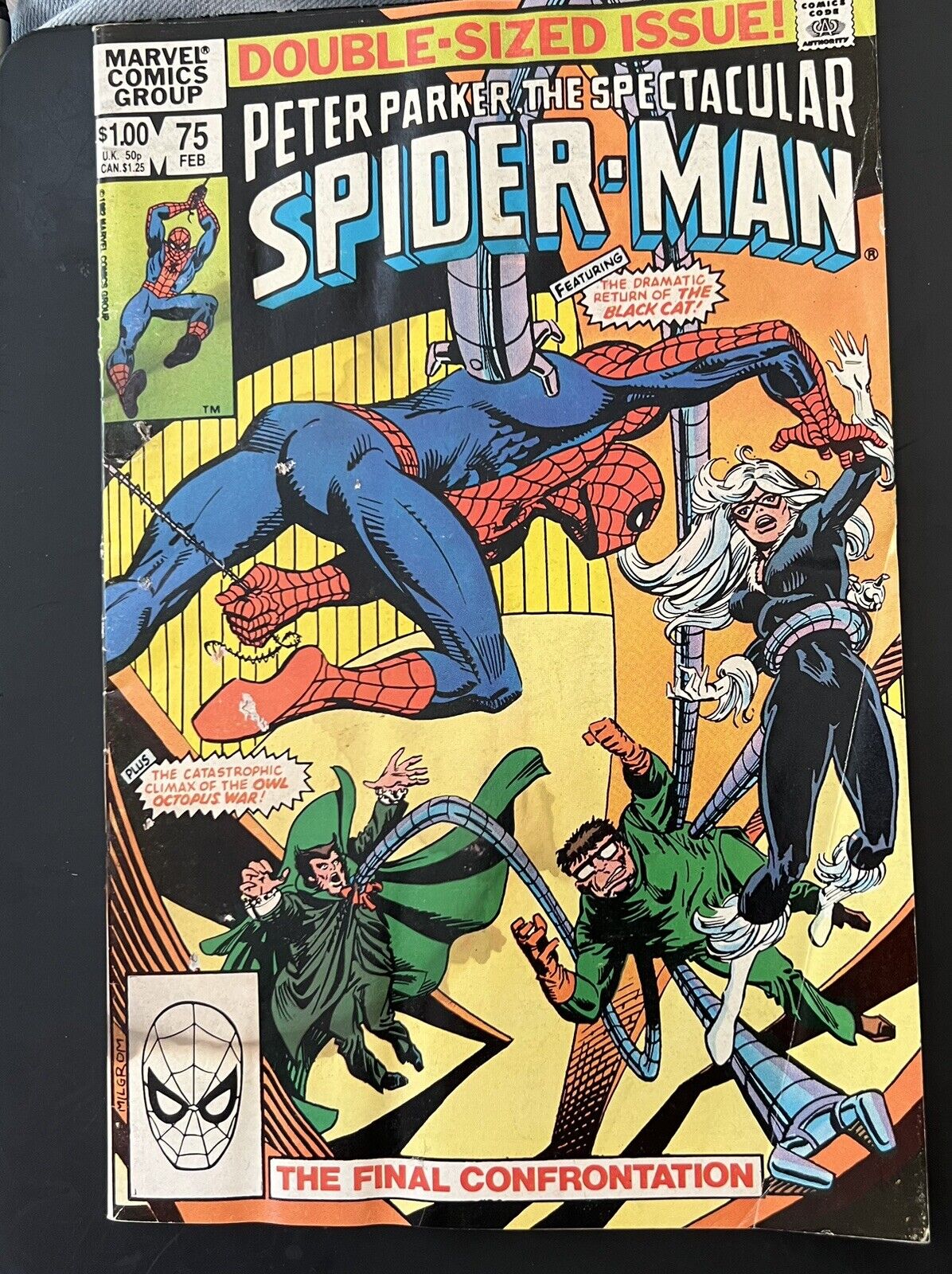 The Spectacular Spider-Man #75 (1993) The Final Confrontation