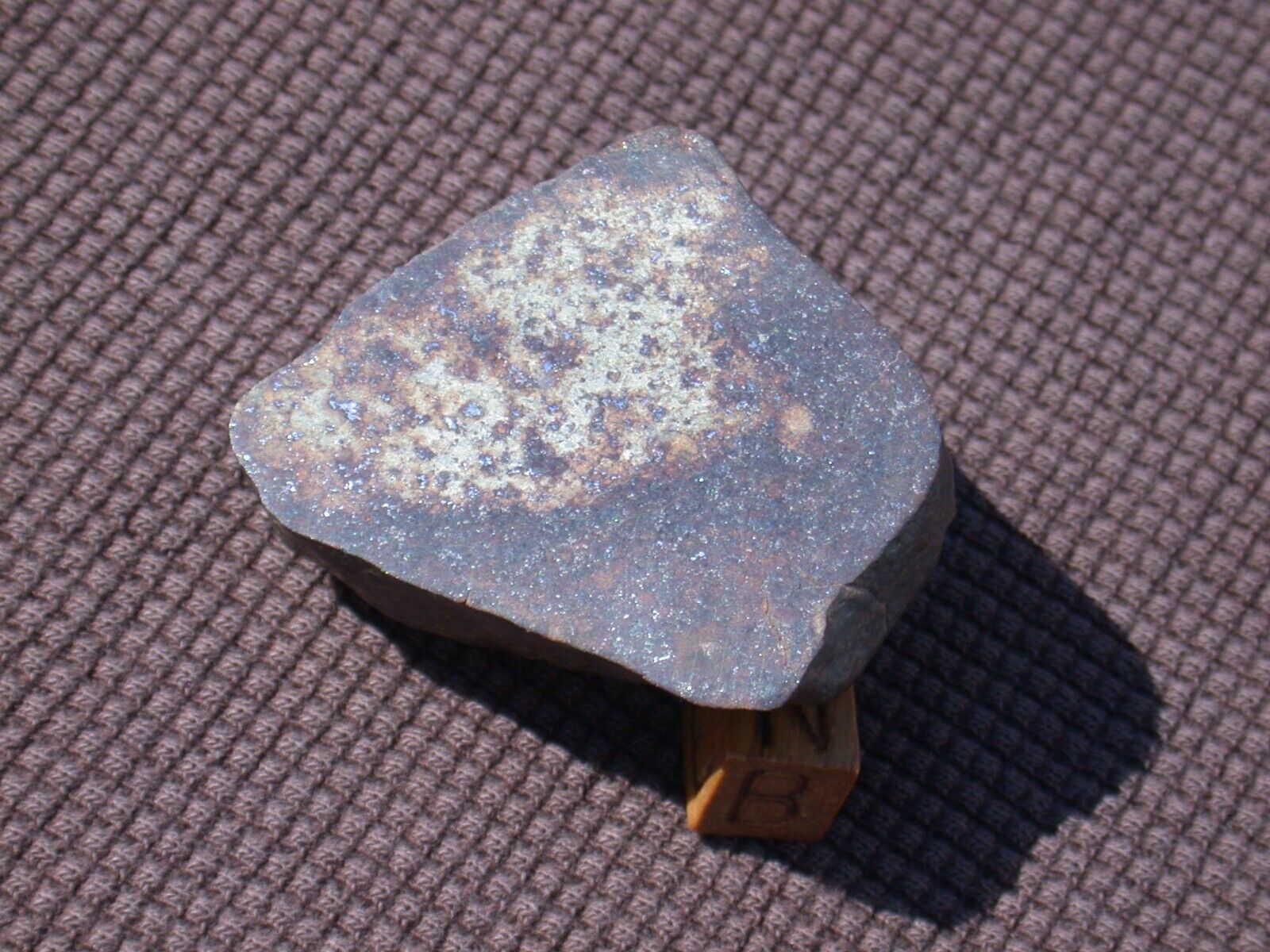 NICE NWA Chondrite meteorite end cut - 58.6 g \