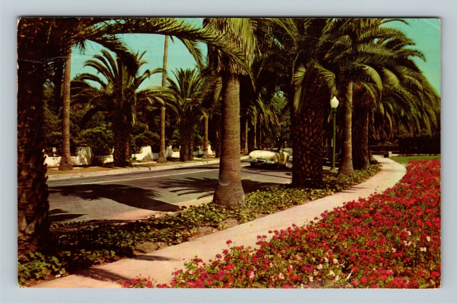 An Avenue Palms, California c1970 Vintage Postcard