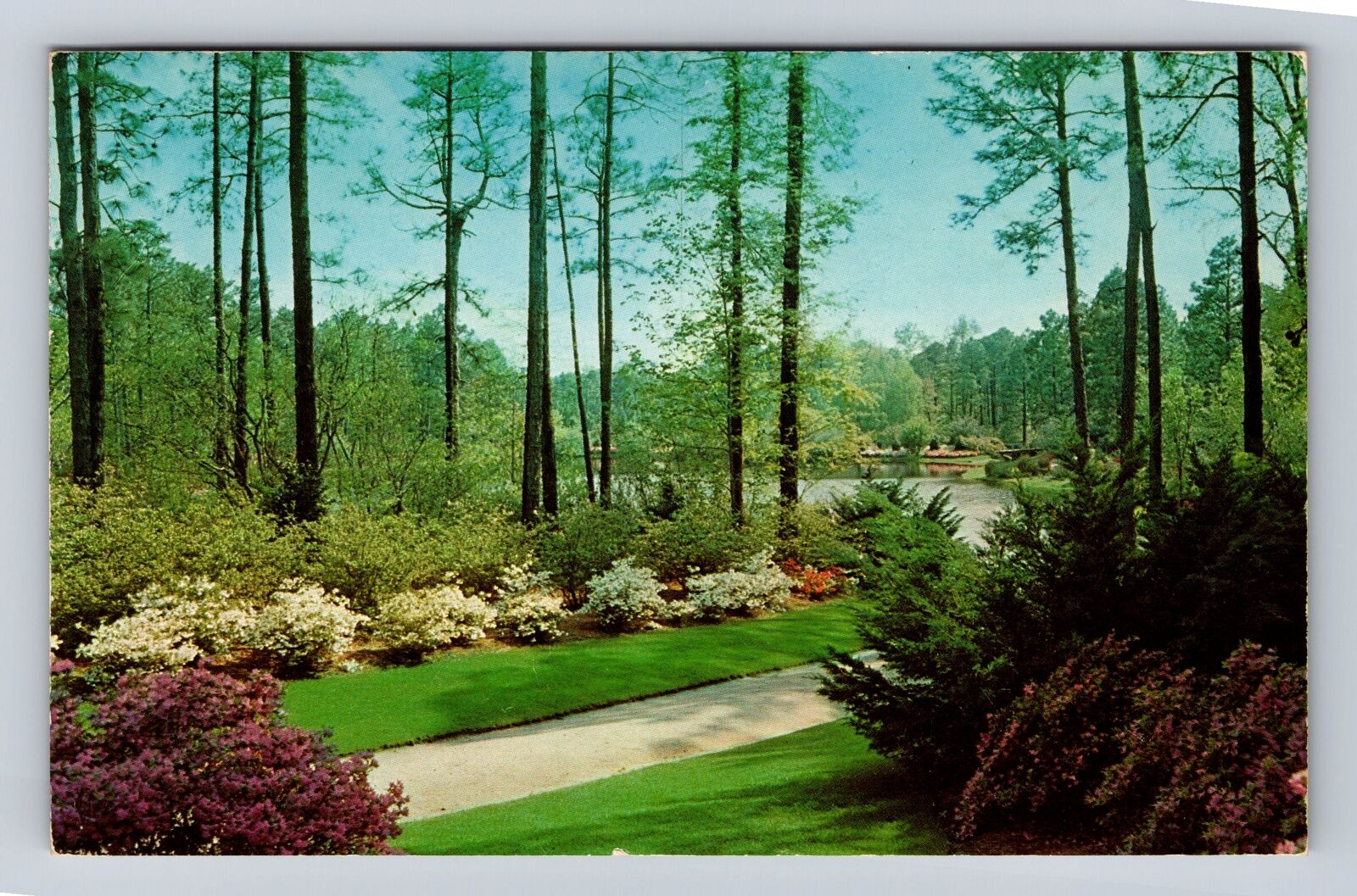Pinehurst NC-North Carolina, Clarendon Gardens, Antique Vintage Postcard