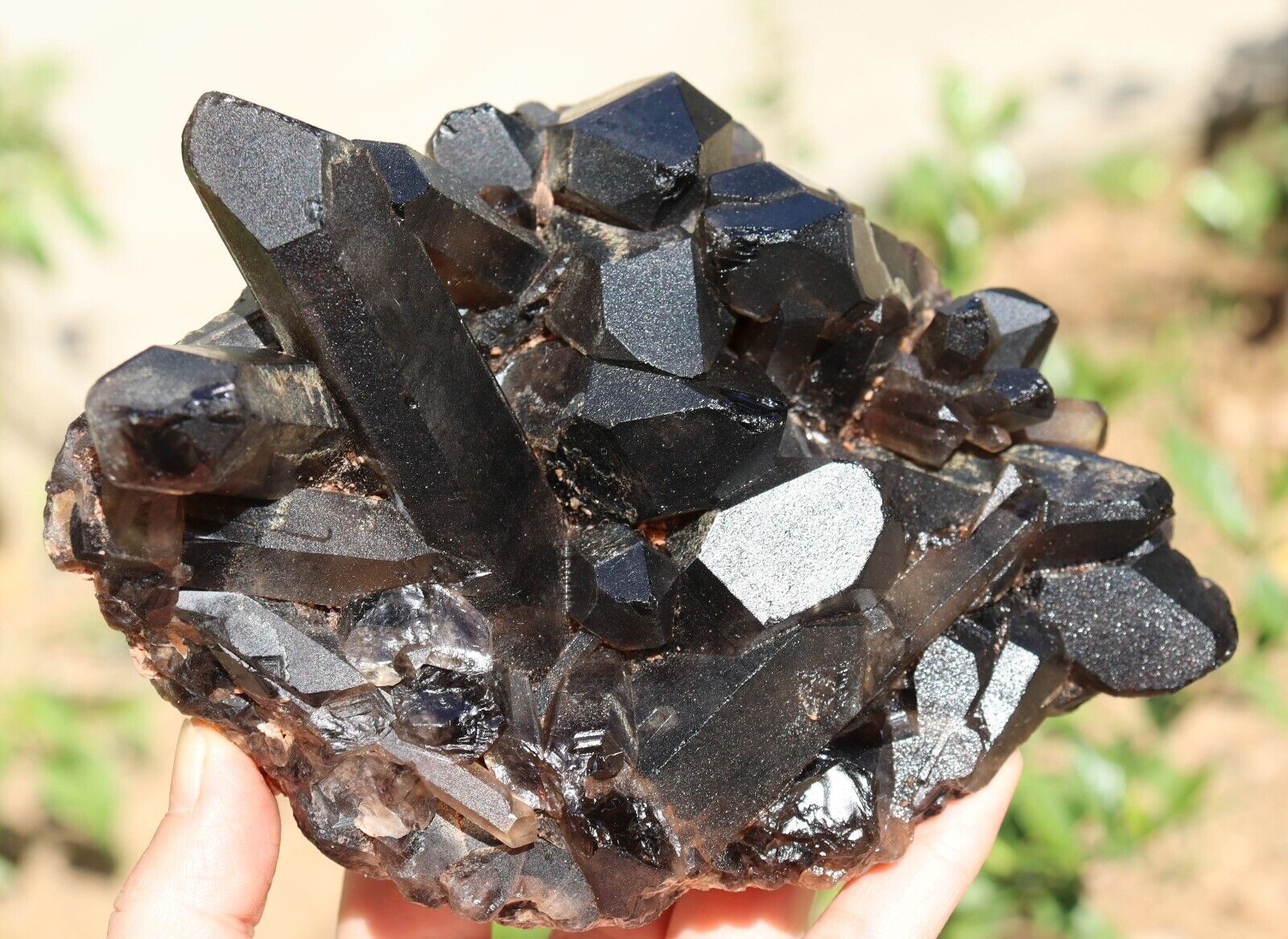 1103g  Natural Rare Beautiful Black QUARTZ Crystal Cluster Mineral Specimen
