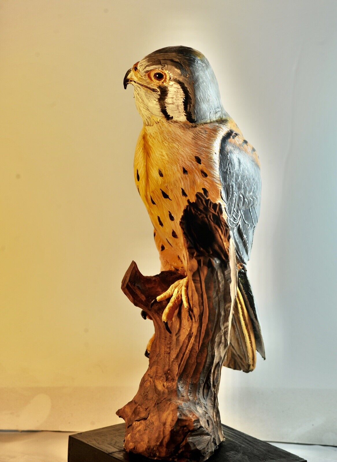 Kestrel Hawk scupture,fine Wood Carving