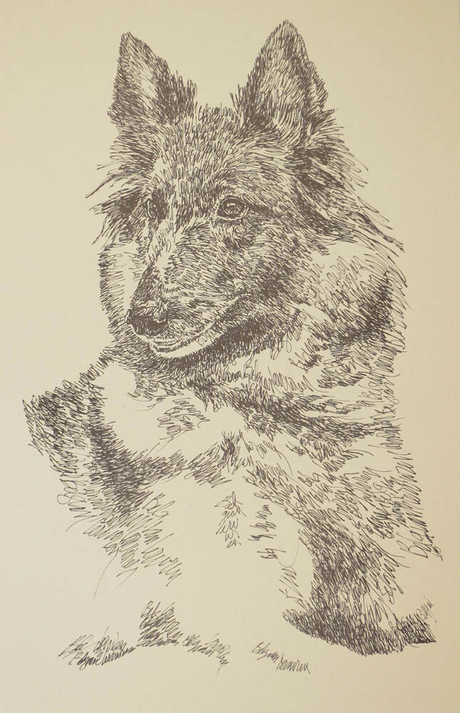 Belgian Tervuren Dog Art Print #34 Stephen Kline adds your dogs name free. GIFT