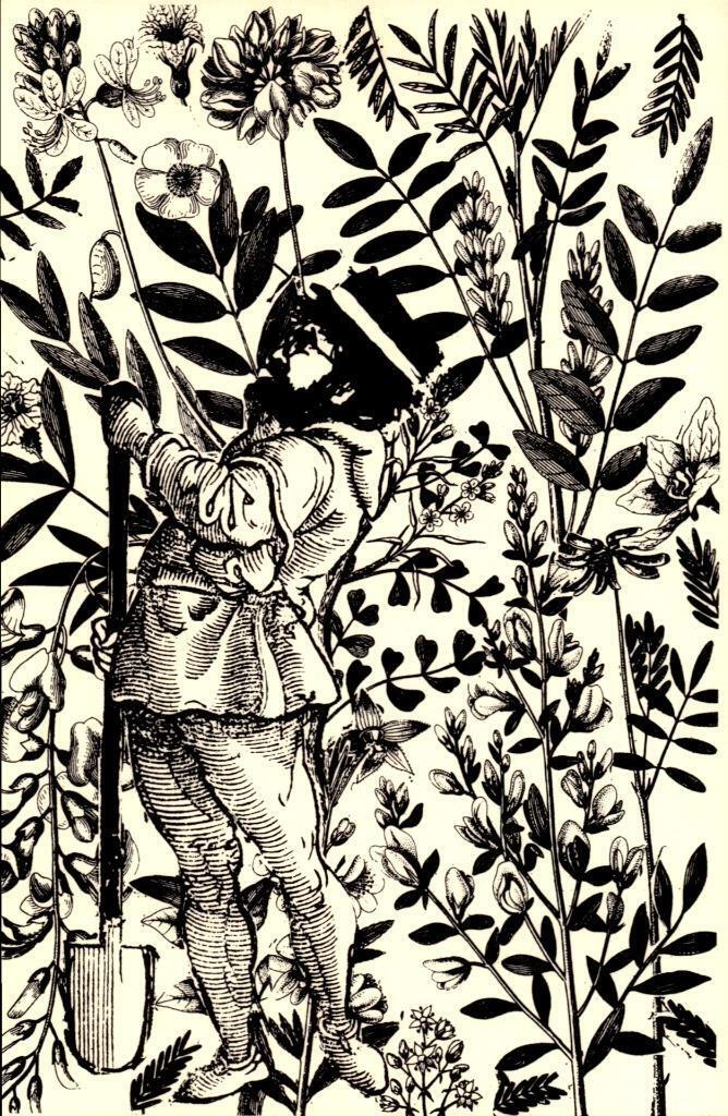 Gardening - The Adventures by Carlo Pittore- ART POSTCARD - BKA