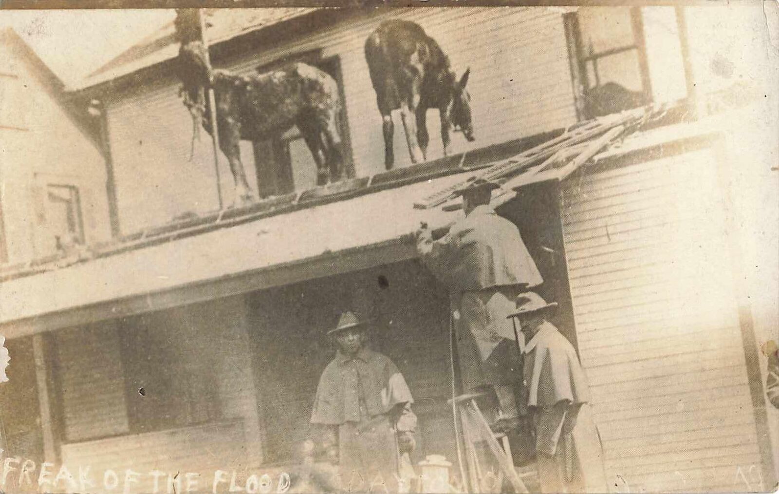1913 Dayton Ohio Flood African American Black Soldiers Army Horses On Roof RARE