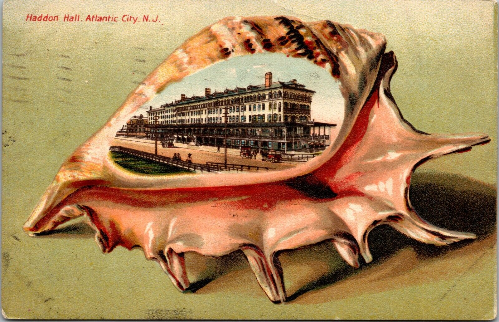 Conch Shell Embossed Haddon Hall Atlantic City New Jersey NJ Postcard