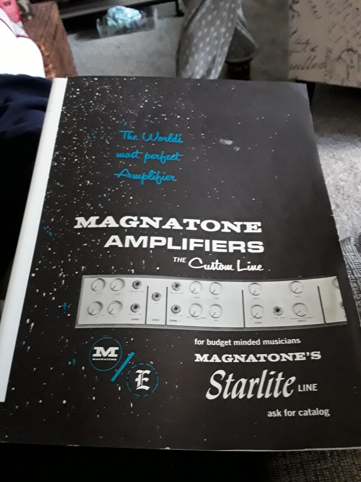 Magnatone Amplifiers #COOL# 