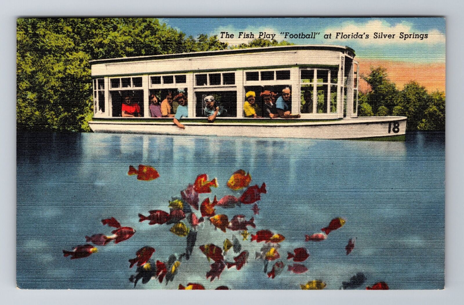 Silver Springs FL-Florida, The Fish Play, Antique, Vintage Souvenir Postcard