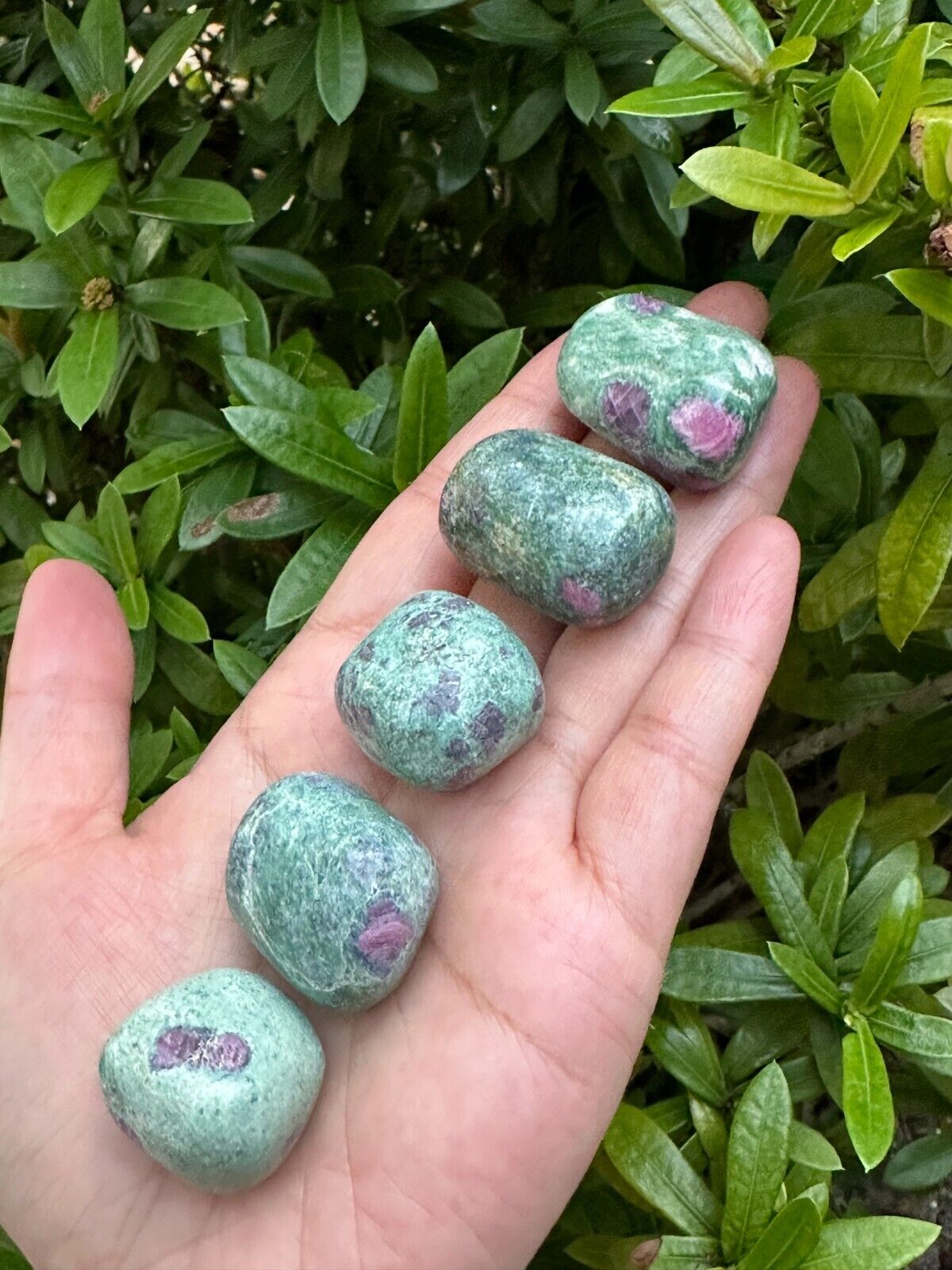 Grade A++ Ruby Fuchsite Tumbled Stones 0.75-1.25 Inch, Pick How Many