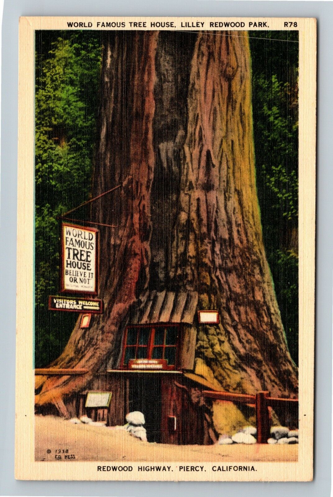 Piercy, CA-California, Tree House, Lilley Redwood Park Vintage Souvenir Postcard