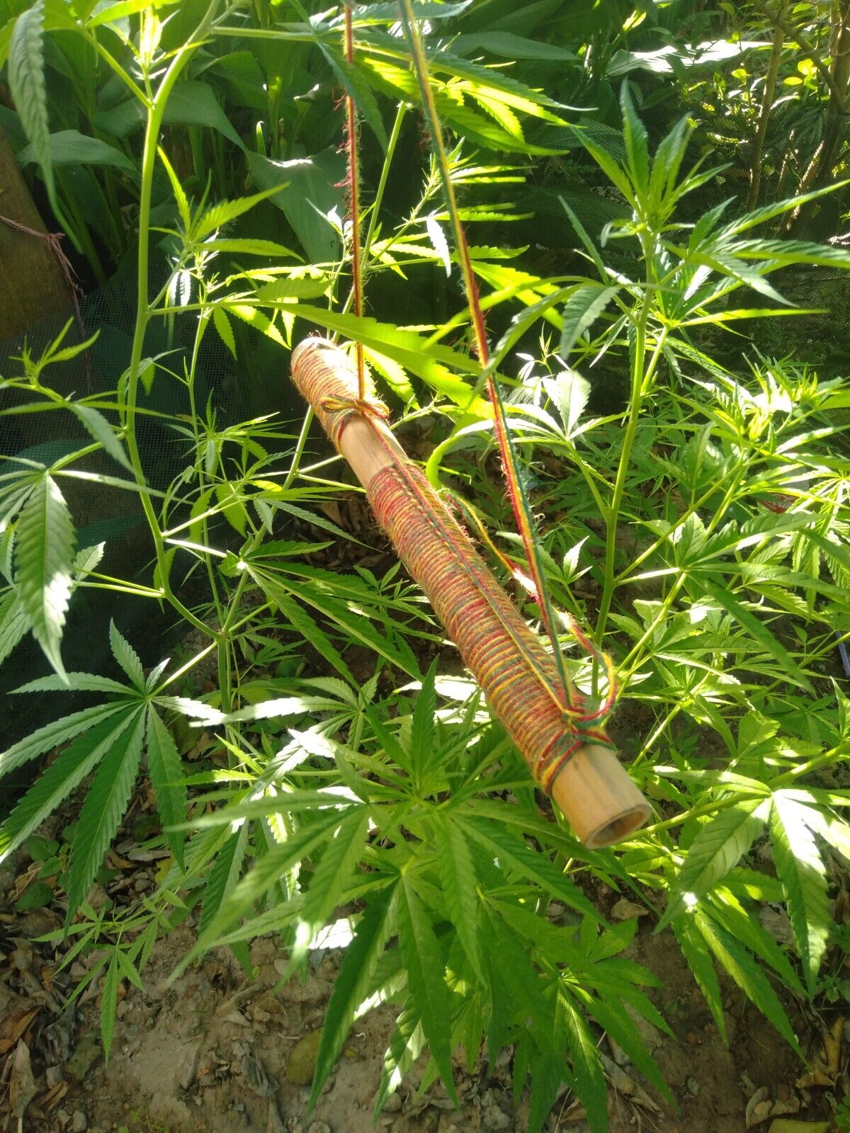UL Portable Bamboo Bong Didgeridoo Ultralight Backpacking made in Thailand 🇹🇭