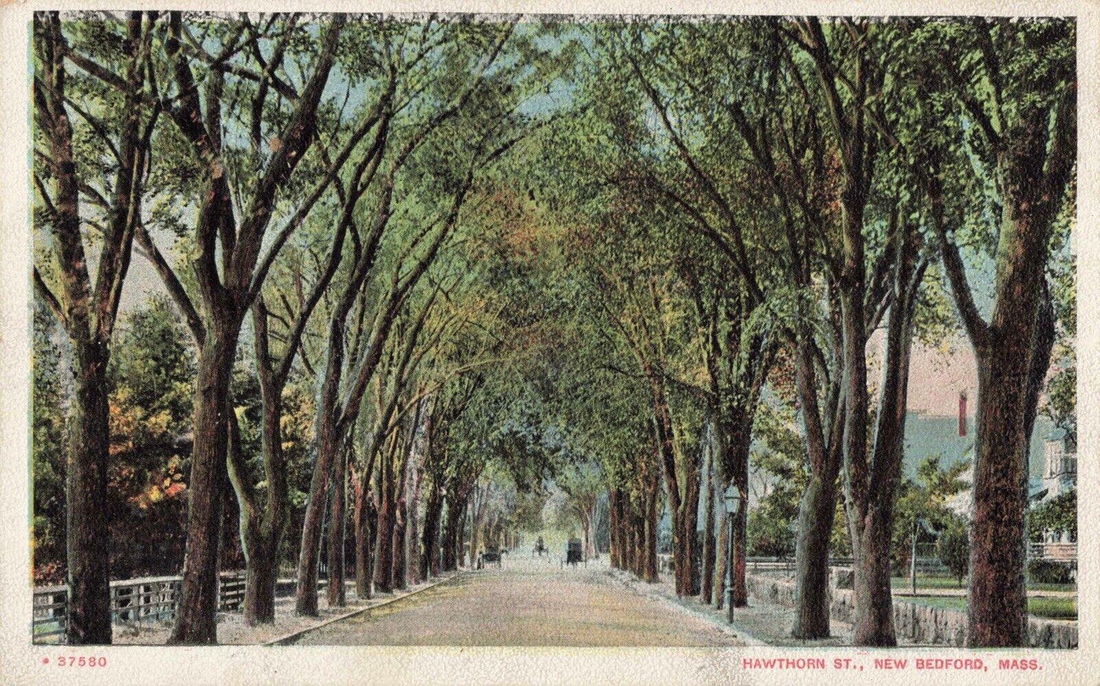 Hawthorn Street, New Bedford, Massachusetts MA - Vintage Postcard
