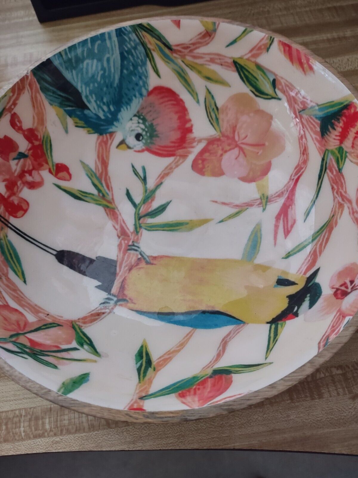 Opal House Mango Wood India Bowl Resin Interior Bowl Island  Bird Floral 10”