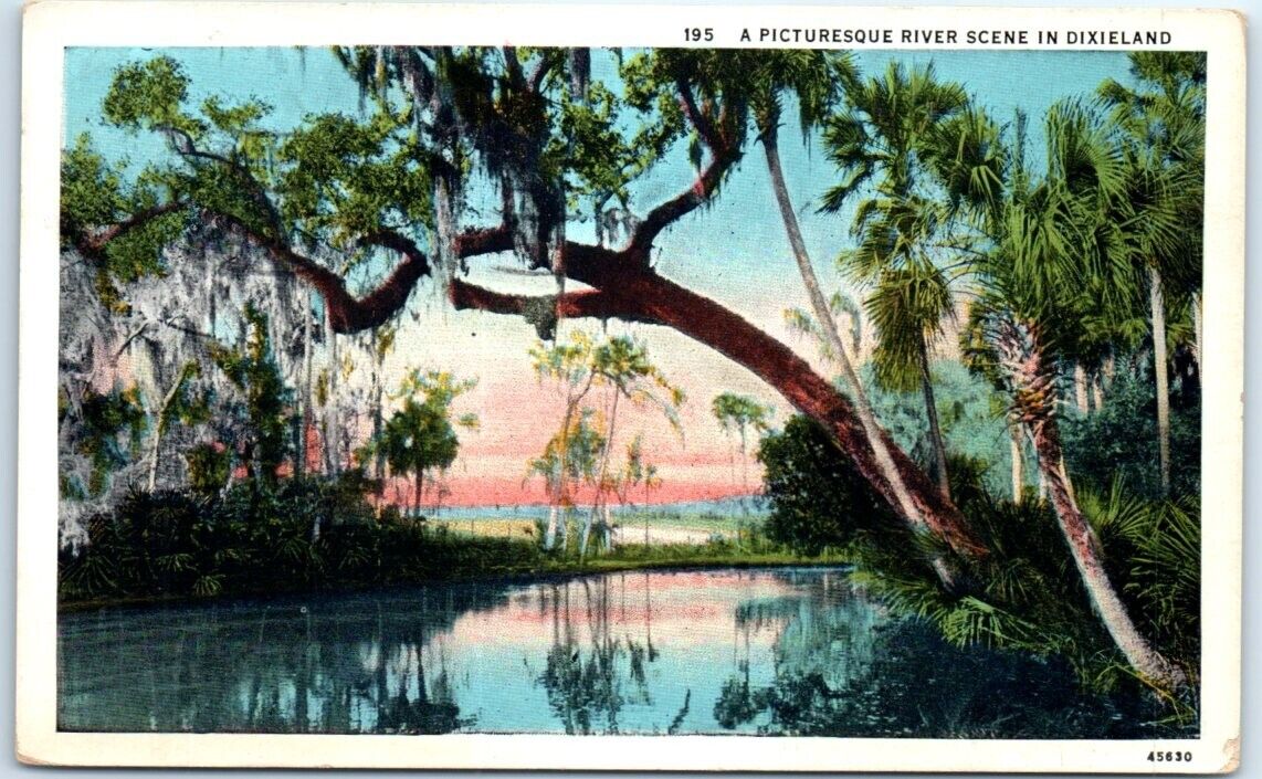 Postcard - A Picturesque River Scene in Dixieland