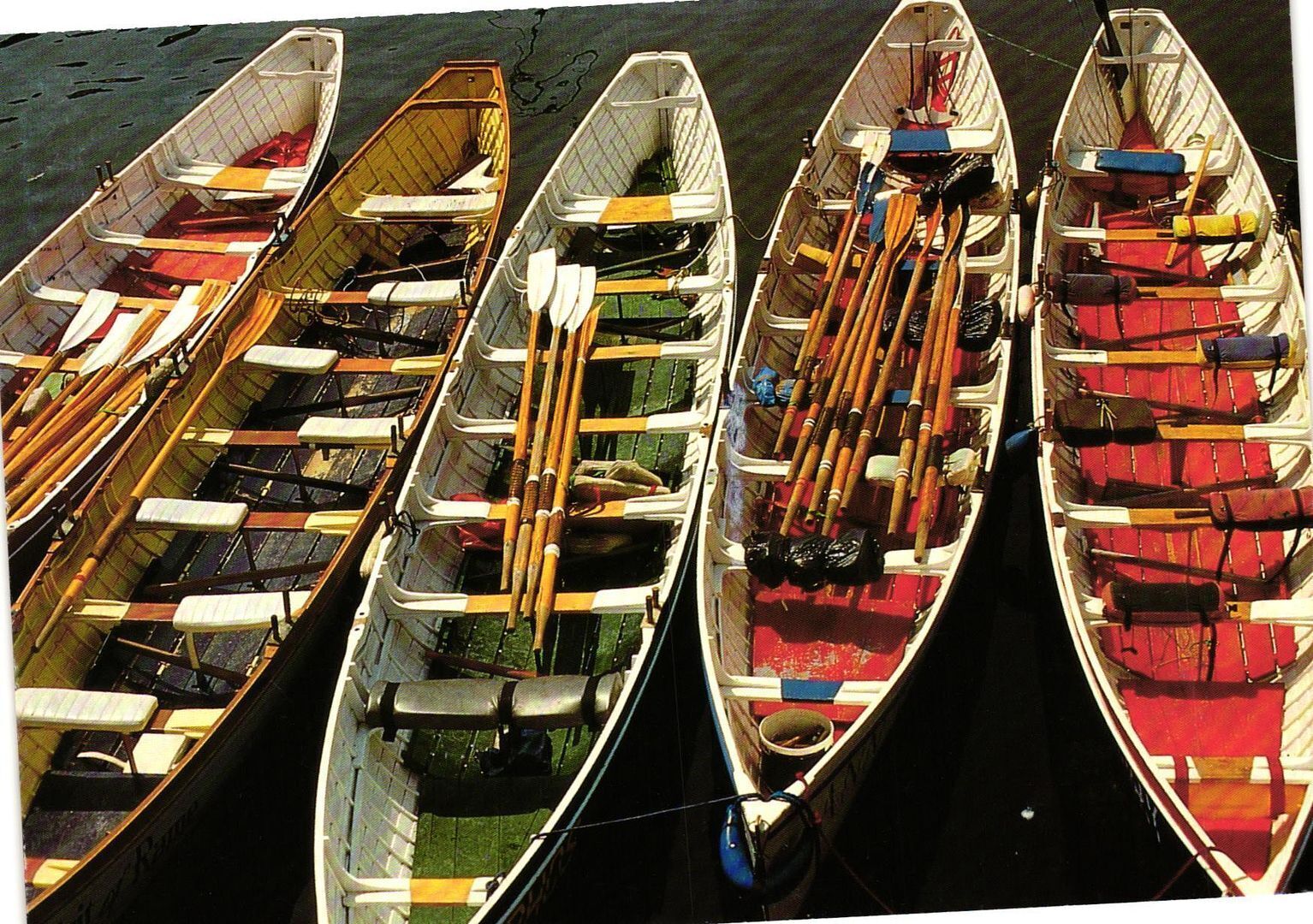 Vintage Postcard 4x6- Row boats