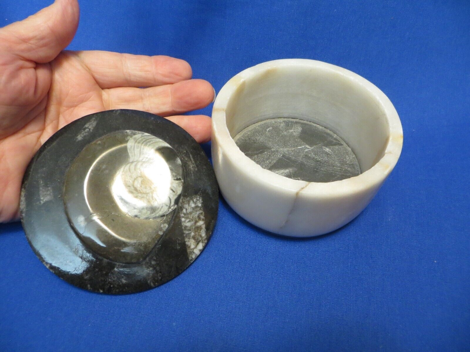 Marble Keepsake Jewelry Box Jar 350 Million Year Old Ammonite Fossil Lid Large 1