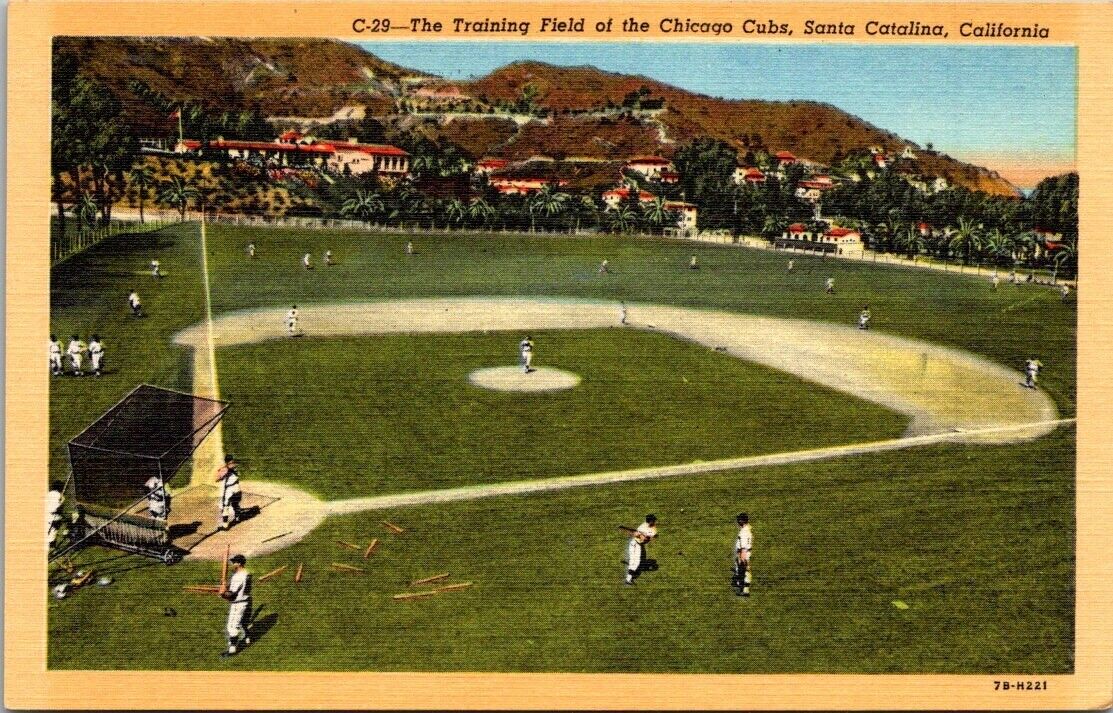 SANTA CATALINA, California Chicago Cubs Training Field Baseball Postcard UNP