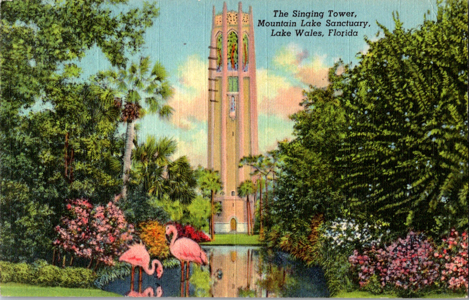 Vintage 1953 Singing Tower, Pink Flamingos, Lake wales Florida FL Postcard 