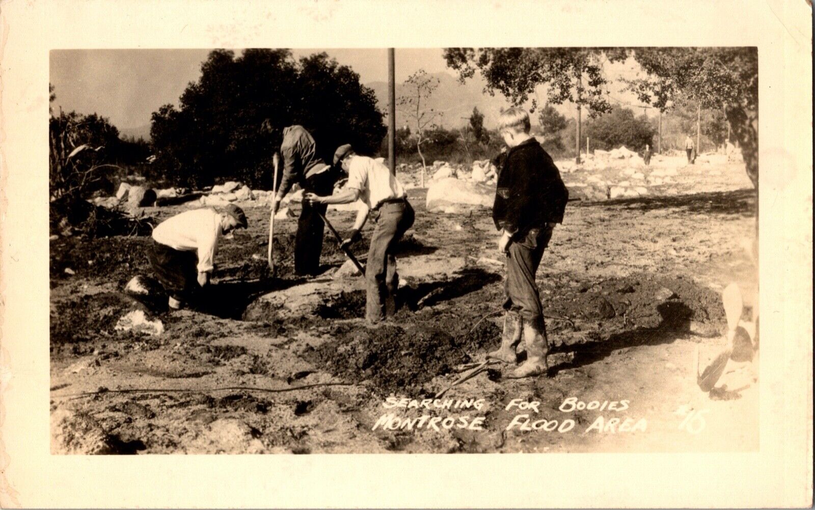 Montrose Glendale Flood Damage 1934 Graveyard Homes RPPC Real Photo Postcard Set