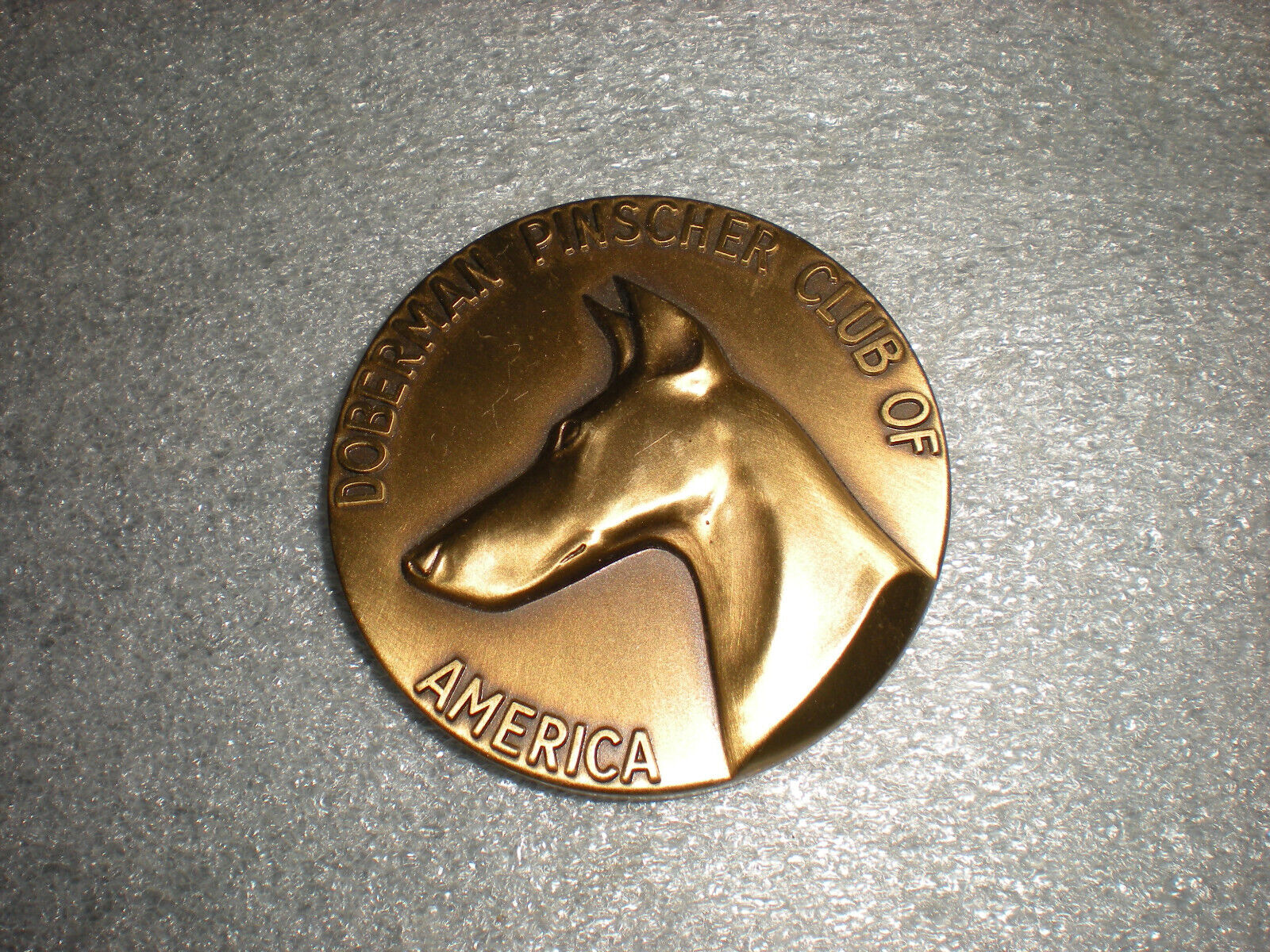 Doberman Pinscher Club of America PSDPC 8/6/88 Dog Show Award Medal Trophy Coin