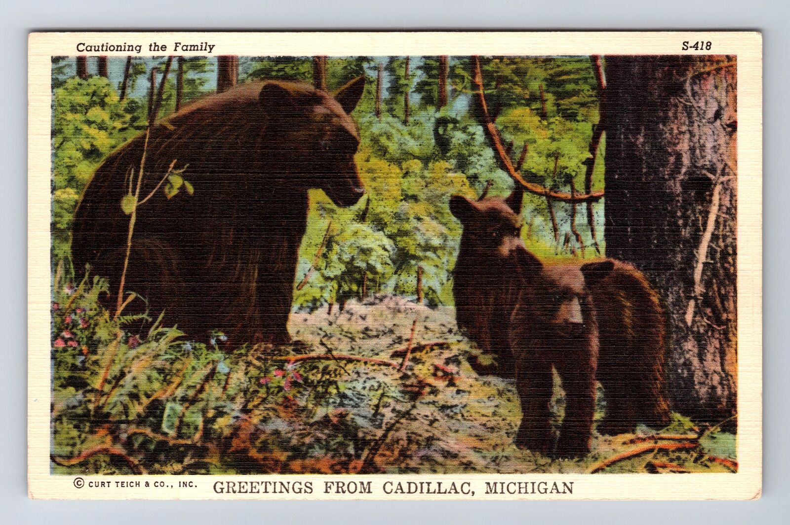 Cadillac MI-Michigan, General Greetings, Mother Beach and Cubs, Vintage Postcard
