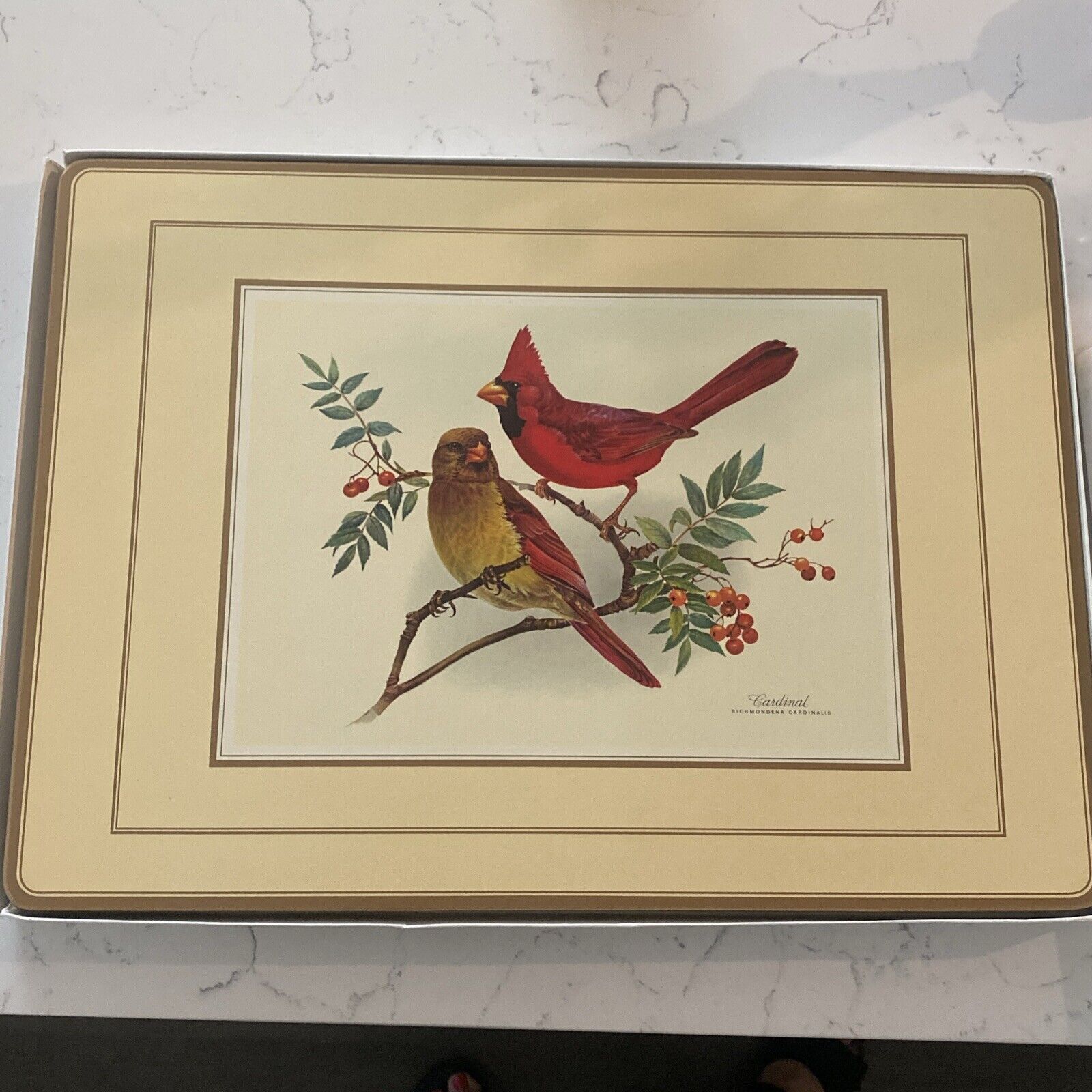 NEW - VTG Set Of (4) Birds Pimpernel Traditional Place Mats 18”x13” Cardinal