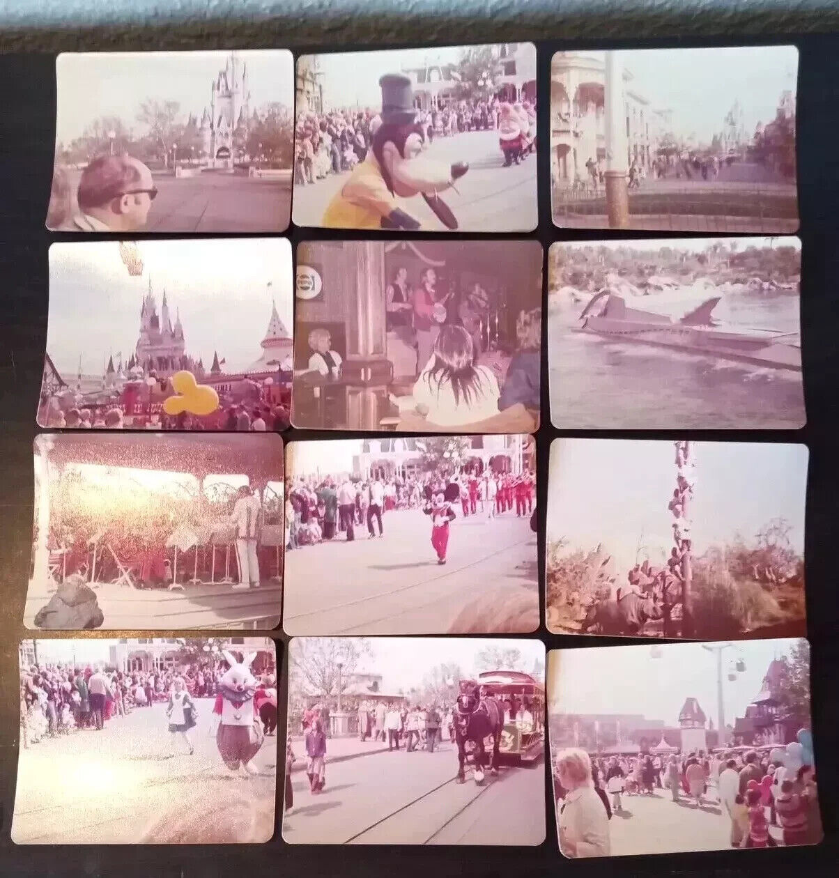 (12) Vintage Photos 1975 - 1976 Walt Disney World Orlando Florida 3x5