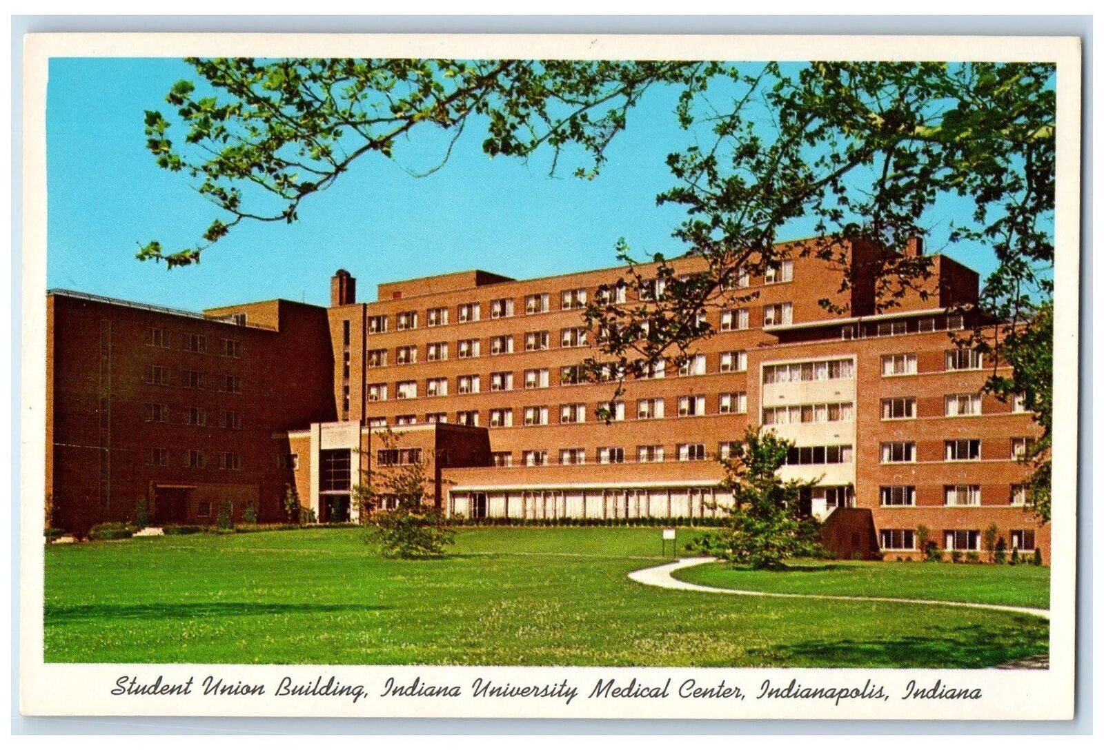 Student Union Building Indiana University Medical Indianapolis IN Postcard