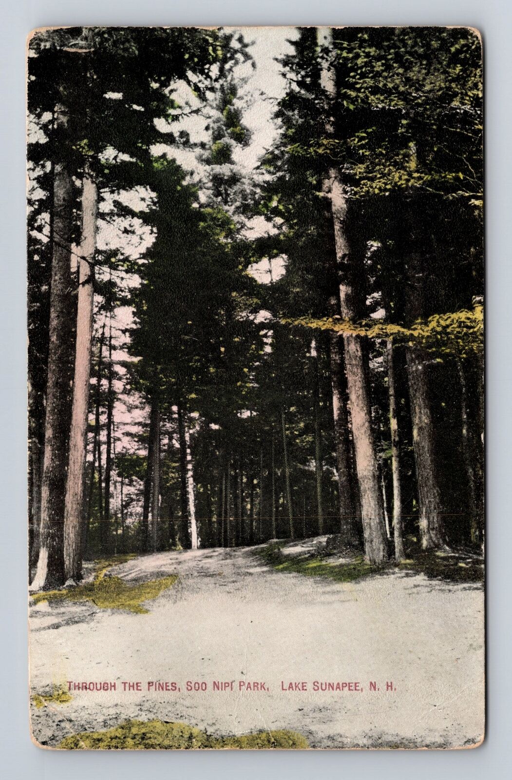 Lake Sunapee NH-New Hampshire, Through the Pines, Antique Vintage Postcard