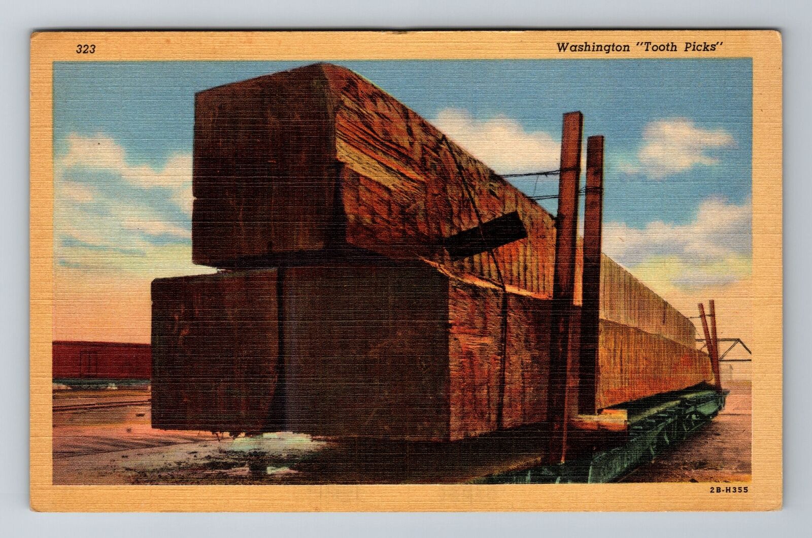 WA-Washington, Tooth Picks, Giant Timbers, Antique, Vintage Souvenir Postcard