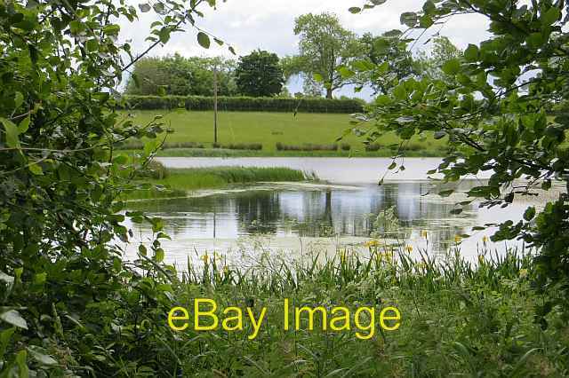 Photo 6x4 Pond, Hareshaw Firth Quite a large pond lurks behind vegetation c2013