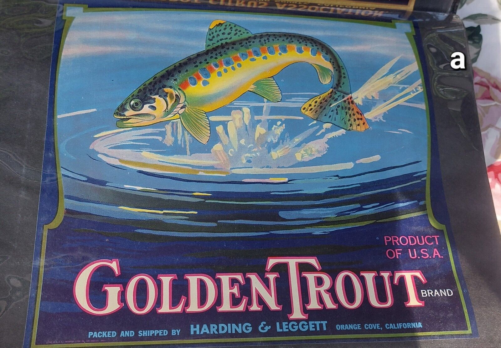 GOLDEN TROUT BRAND VINTAGE TULARE COUNTY ORANGE CRATE LABEL