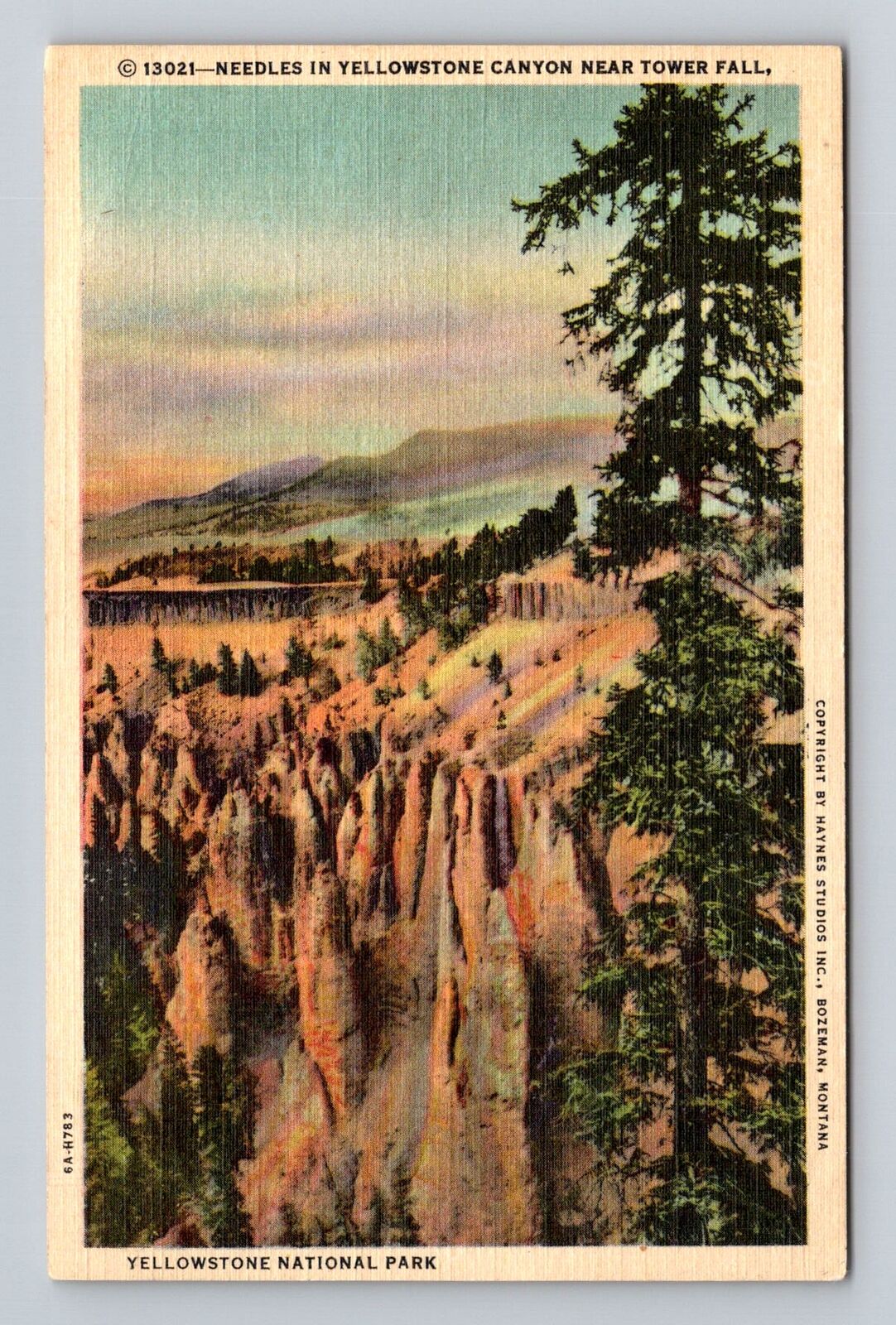 Yellowstone National Park, Needles Series #13021 Vintage Souvenir Postcard