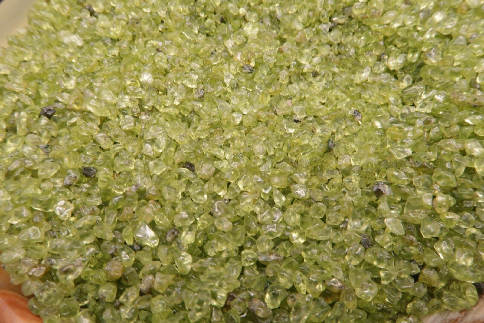 MINI POLISHED PERIDOT CHIPS - 1 lb lot - Extra Small Size - All Natural